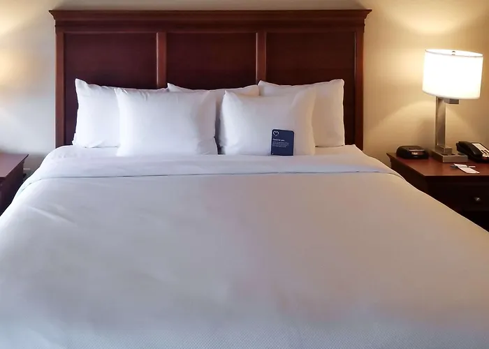 Comfort & Phoenix Sky Harbor Airport Hotel 3*